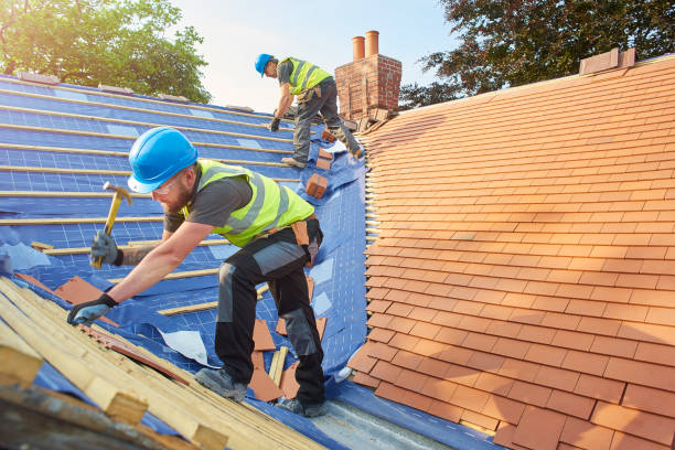 Best Metal Roofing Installation  in Bridgeport, NE